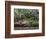 Indoor Garden, Krohn Conservatory, Cincinatti, Ohio, USA-Adam Jones-Framed Photographic Print