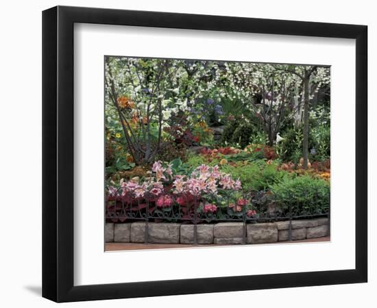 Indoor Garden, Krohn Conservatory, Cincinatti, Ohio, USA-Adam Jones-Framed Photographic Print