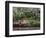 Indoor Garden, Krohn Conservatory, Cincinatti, Ohio, USA-Adam Jones-Framed Photographic Print