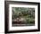 Indoor Garden, Krohn Conservatory, Cincinatti, Ohio, USA-Adam Jones-Framed Photographic Print