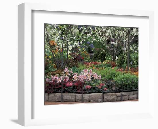 Indoor Garden, Krohn Conservatory, Cincinatti, Ohio, USA-Adam Jones-Framed Photographic Print