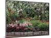 Indoor Garden, Krohn Conservatory, Cincinatti, Ohio, USA-Adam Jones-Mounted Photographic Print