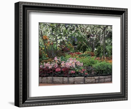 Indoor Garden, Krohn Conservatory, Cincinatti, Ohio, USA-Adam Jones-Framed Photographic Print