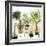Indoor Oasis II-Grace Popp-Framed Premium Giclee Print