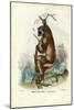 Indri, 1863-79-Raimundo Petraroja-Mounted Giclee Print