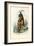 Indri, 1863-79-Raimundo Petraroja-Framed Giclee Print