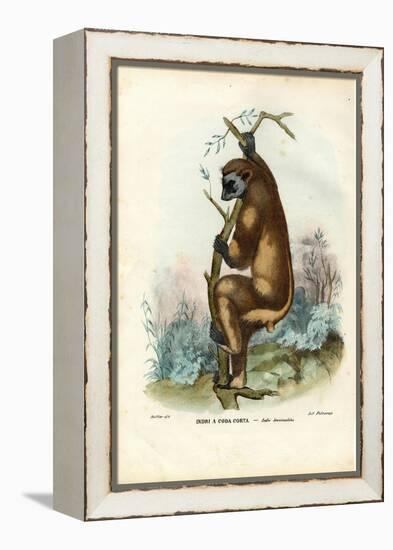 Indri, 1863-79-Raimundo Petraroja-Framed Premier Image Canvas