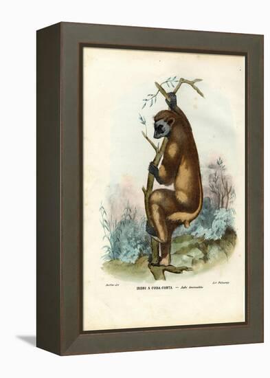 Indri, 1863-79-Raimundo Petraroja-Framed Premier Image Canvas