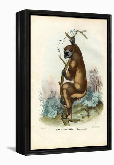 Indri, 1863-79-Raimundo Petraroja-Framed Premier Image Canvas