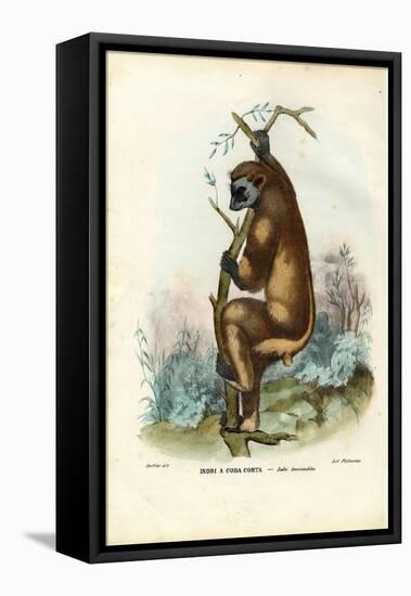 Indri, 1863-79-Raimundo Petraroja-Framed Premier Image Canvas