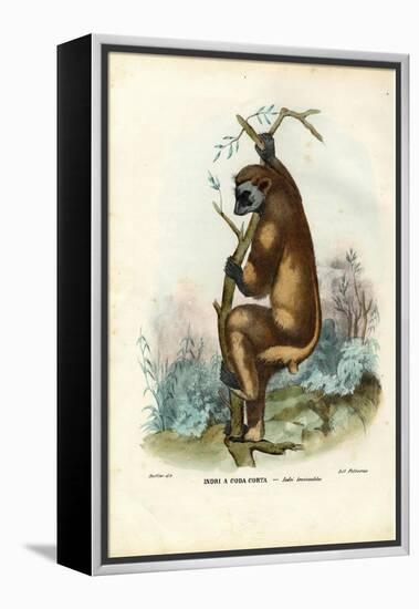 Indri, 1863-79-Raimundo Petraroja-Framed Premier Image Canvas