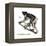 Indri (Indri Indri), Lemur, Mammals-Encyclopaedia Britannica-Framed Stretched Canvas