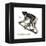 Indri (Indri Indri), Lemur, Mammals-Encyclopaedia Britannica-Framed Stretched Canvas