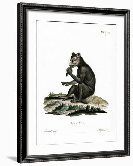 Indri-null-Framed Giclee Print