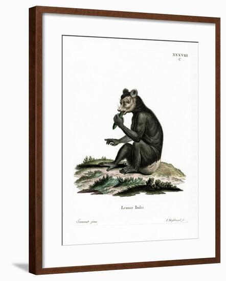 Indri-null-Framed Giclee Print