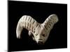 Indus Valley Civilization : Head of a Goat, Bronze Age-null-Mounted Photographic Print