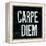 Industrail Chic Carpe Diem-Arnie Fisk-Framed Stretched Canvas