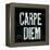 Industrail Chic Carpe Diem-Arnie Fisk-Framed Stretched Canvas