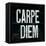 Industrail Chic Carpe Diem-Arnie Fisk-Framed Stretched Canvas