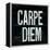 Industrail Chic Carpe Diem-Arnie Fisk-Framed Stretched Canvas