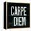 Industrail Chic Carpe Diem-Arnie Fisk-Framed Stretched Canvas