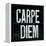 Industrail Chic Carpe Diem-Arnie Fisk-Framed Stretched Canvas