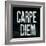 Industrail Chic Carpe Diem-Arnie Fisk-Framed Premium Giclee Print