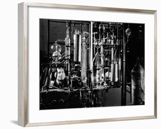 Industrial Chemist Among Glass Tubes in a Laboratory, Feb 1943-null-Framed Photo