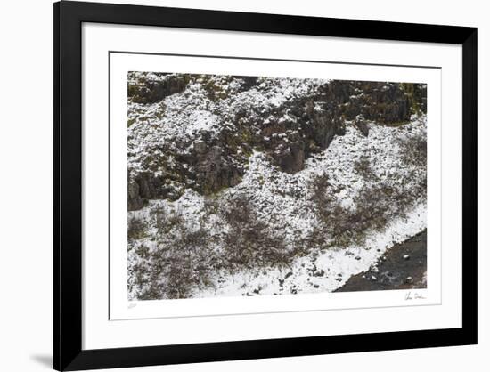 Industrial Nature - Ebb-Chris Dunker-Framed Limited Edition