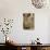 Industrial Pattern in Ceiling of Abandoned Mine in Butte, Montana-James White-Photographic Print displayed on a wall