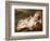 Infant Christ-Sir Anthony Van Dyck-Framed Giclee Print