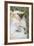 Infant Golden-Crowned Sifaka (Propithecus Tattersalli) On Its Mother'S Back-Nick Garbutt-Framed Photographic Print