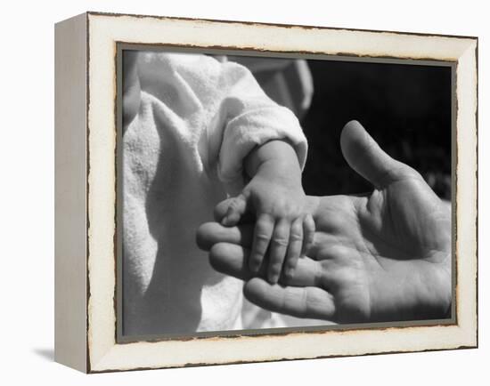 Infant's Hand in Man's Hand-Philip Gendreau-Framed Premier Image Canvas