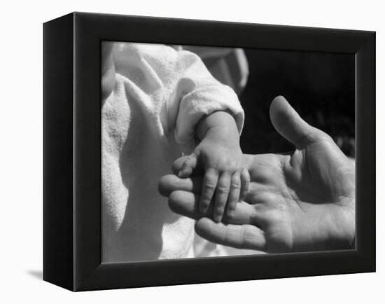 Infant's Hand in Man's Hand-Philip Gendreau-Framed Premier Image Canvas