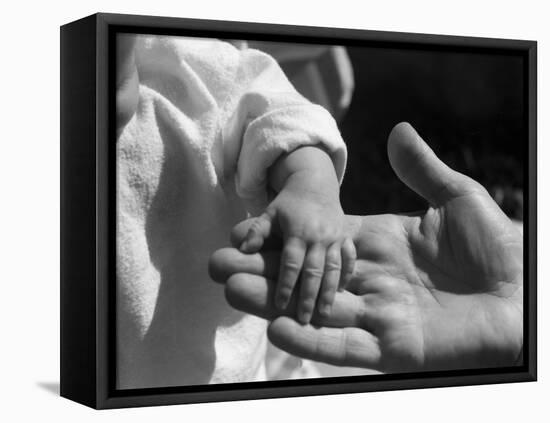 Infant's Hand in Man's Hand-Philip Gendreau-Framed Premier Image Canvas