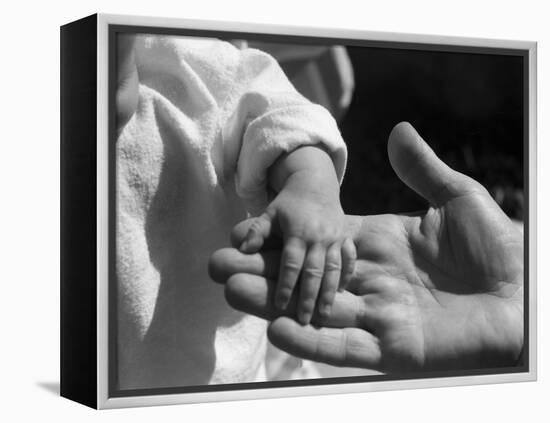 Infant's Hand in Man's Hand-Philip Gendreau-Framed Premier Image Canvas