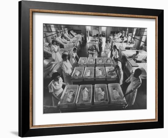 Infants Being Brought to Mothers in a Hospital Ward-Yale Joel-Framed Photographic Print