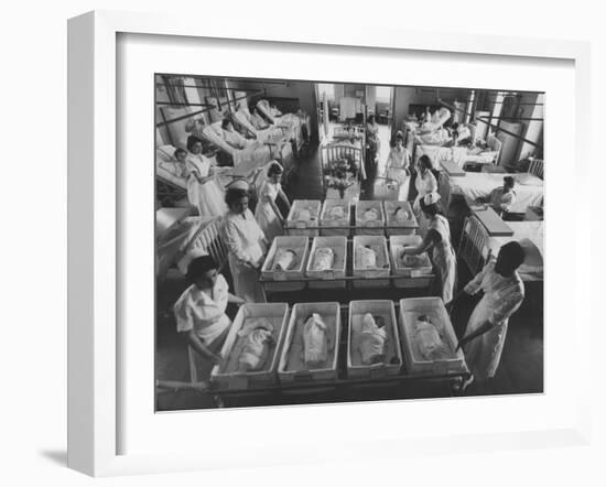 Infants Being Brought to Mothers in a Hospital Ward-Yale Joel-Framed Photographic Print