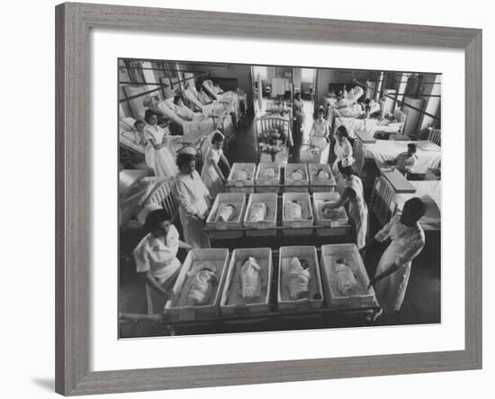 Infants Being Brought to Mothers in a Hospital Ward-Yale Joel-Framed Photographic Print