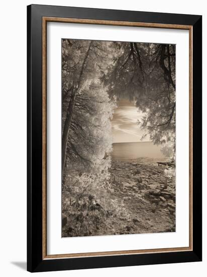 Infared Photography-Monte Nagler-Framed Photographic Print