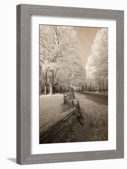 Infared Photography-Monte Nagler-Framed Photographic Print