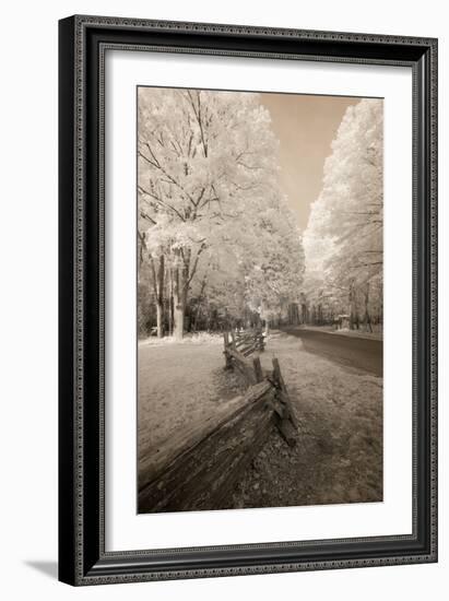 Infared Photography-Monte Nagler-Framed Photographic Print