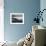 Infinite Curve-Doug Chinnery-Framed Photographic Print displayed on a wall