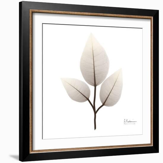 Infinite Future 1-Albert Koetsier-Framed Art Print