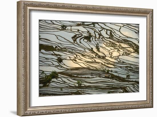 Infinite Rice Fields at Laohuzui Aka Tiger Mouth in Yuanyang, China-John Crux-Framed Photographic Print