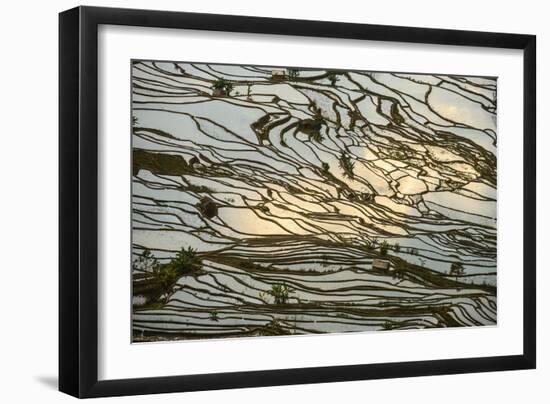 Infinite Rice Fields at Laohuzui Aka Tiger Mouth in Yuanyang, China-John Crux-Framed Photographic Print