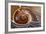 Infinite Spiral-Doug Chinnery-Framed Photographic Print