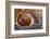 Infinite Spiral-Doug Chinnery-Framed Photographic Print