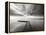 Infinite Vision-Doug Chinnery-Framed Premier Image Canvas