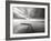 Infinite Vision-Doug Chinnery-Framed Photographic Print